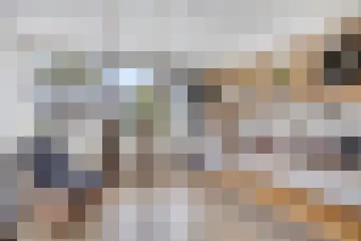 Douw van der Kraplaan 29 Voorschoten thumbnail 22