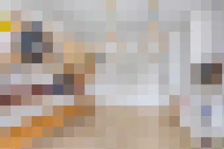 Douw van der Kraplaan 29 Voorschoten thumbnail 23