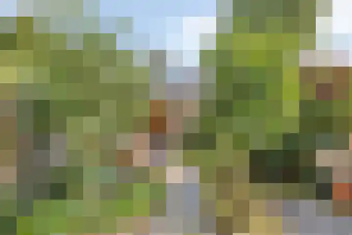 Douw van der Kraplaan 29 Voorschoten thumbnail 36