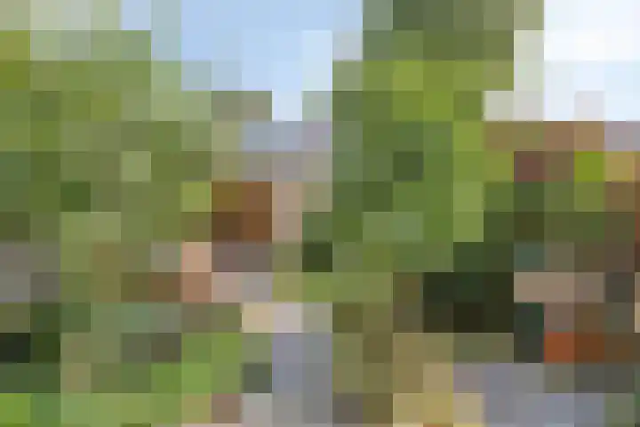 Douw van der Kraplaan 29 Voorschoten thumbnail 37