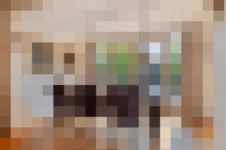 Douw van der Kraplaan 53 Voorschoten thumbnail 20