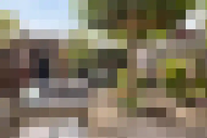 Douw van der Kraplaan 53 Voorschoten thumbnail 29