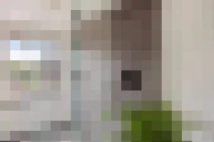 Douw van der Kraplaan 53 Voorschoten thumbnail 39