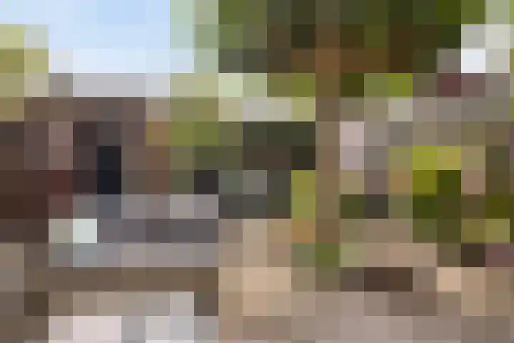 Douw van der Kraplaan 53 Voorschoten thumbnail 4