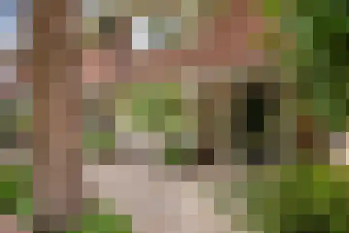 Douw van der Kraplaan 53 Voorschoten thumbnail 5