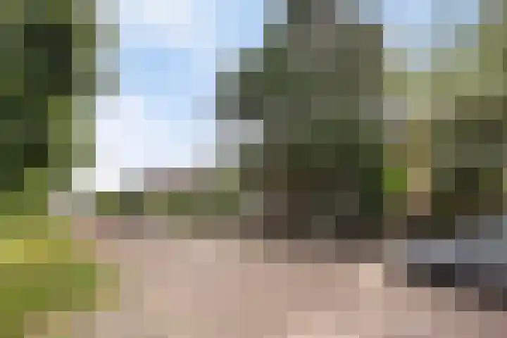 Douw van der Kraplaan 53 Voorschoten thumbnail 51