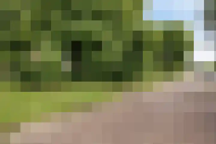 Douw van der Kraplaan 53 Voorschoten thumbnail 52