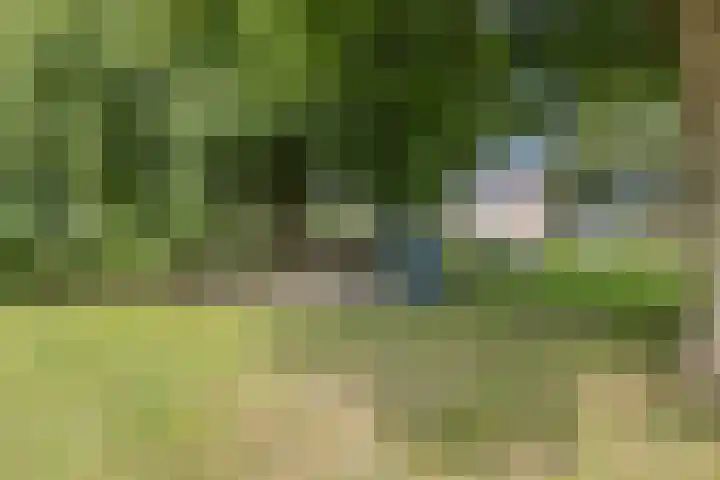 Douw van der Kraplaan 53 Voorschoten thumbnail 53