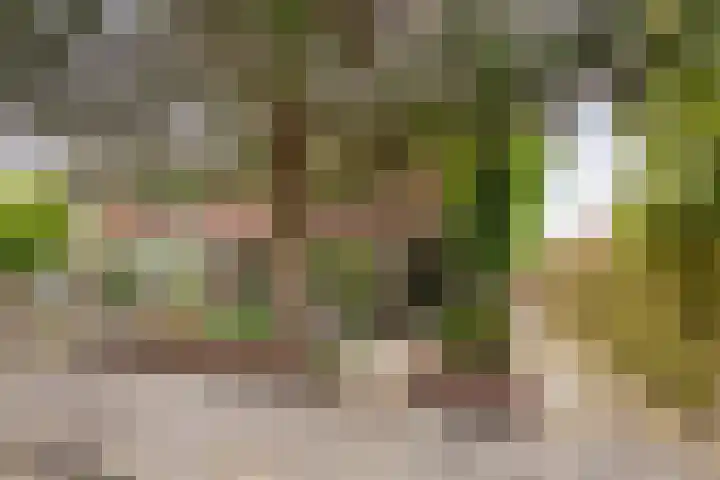 Douw van der Kraplaan 53 Voorschoten thumbnail 60
