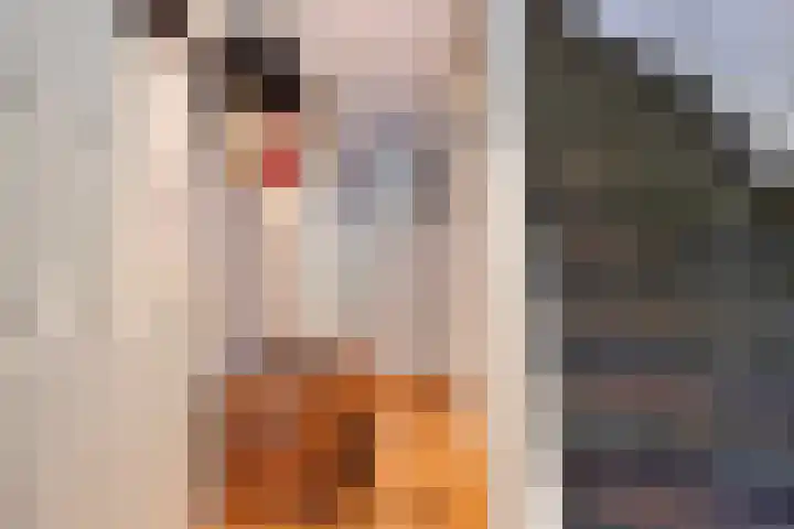 Douw van der Kraplaan 53 Voorschoten thumbnail 7