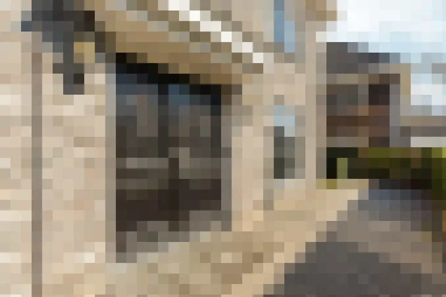 Douwe Dabbertstraat 16 Almere thumbnail 11