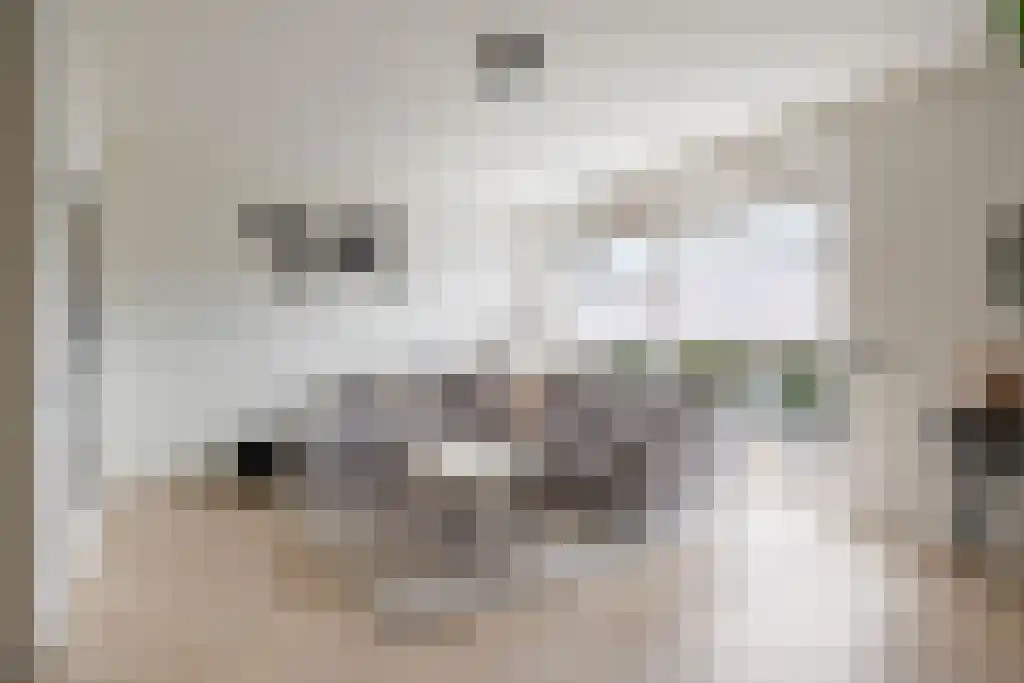 Douwe Hiddesstraat 22 Sneek thumbnail 4