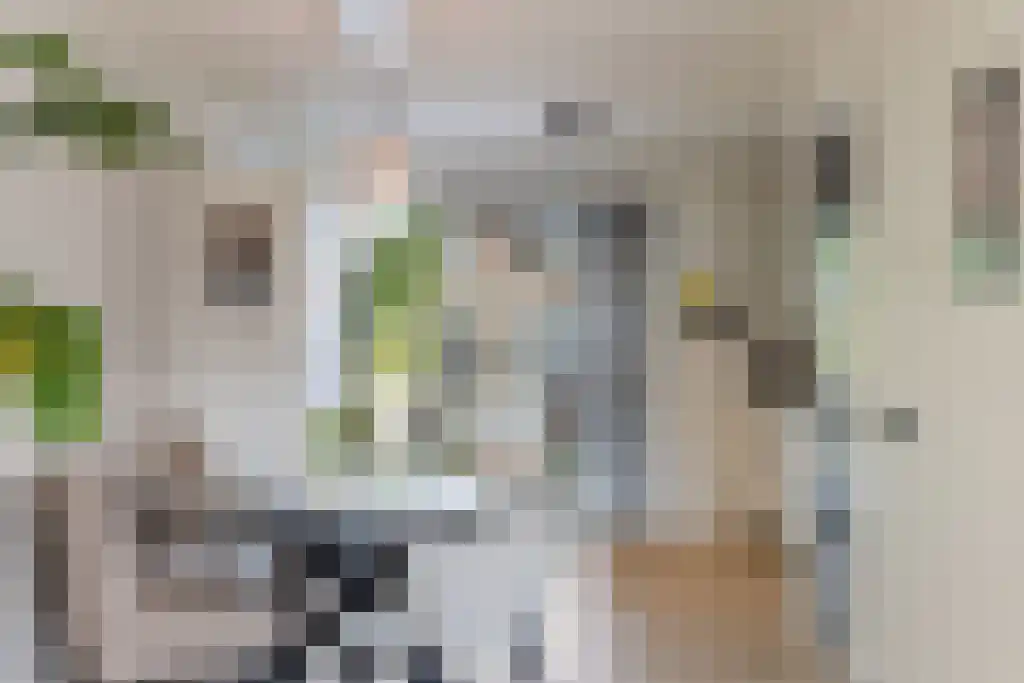 Douwe Hiddesstraat 22 Sneek thumbnail 8