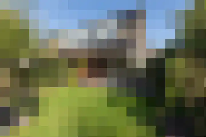 Douwe Hiddesstraat 6 Sneek thumbnail 35