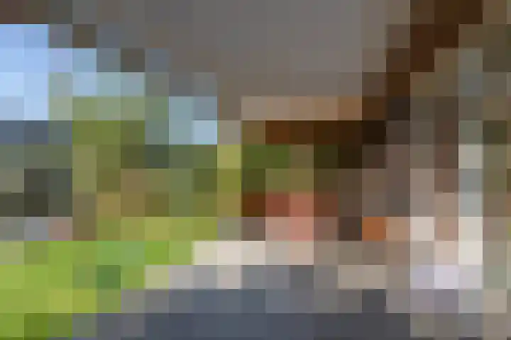 Douwe Hiddesstraat 6 Sneek thumbnail 43