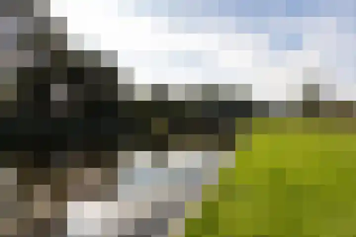 Douwe Hiddesstraat 6 Sneek thumbnail 52