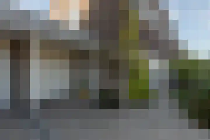 Douwe Hiddesstraat 6 Sneek thumbnail 59