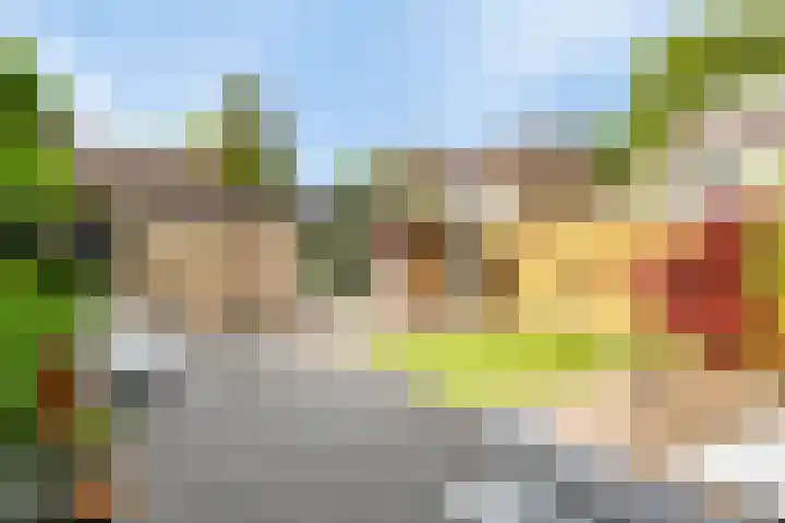 Douwe Kalmaleane 101 Leeuwarden thumbnail 18