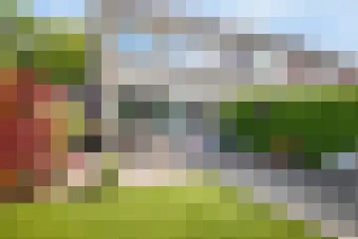 Douwe Kalmaleane 101 Leeuwarden thumbnail 19