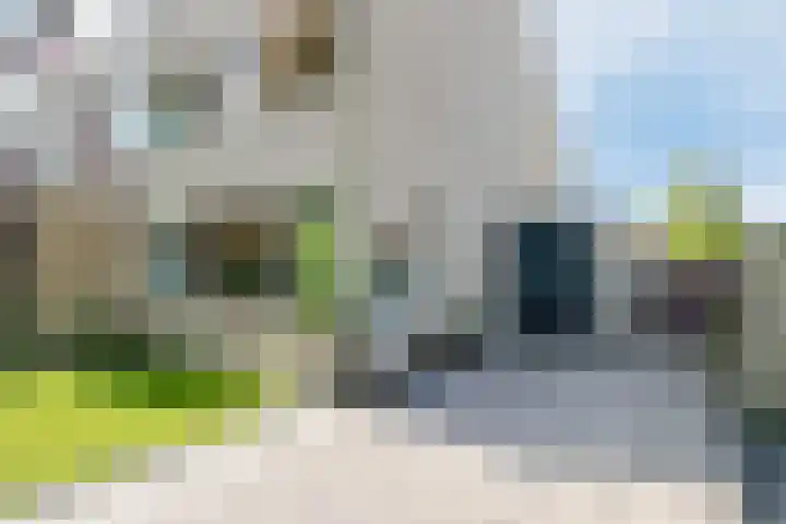 Douwe Kalmaleane 101 Leeuwarden thumbnail 41