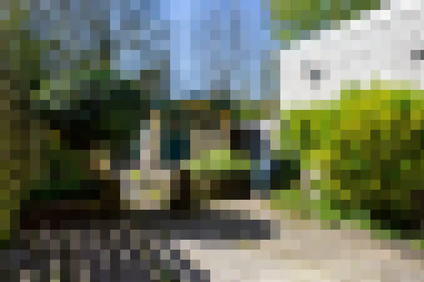 Douwe Totlaan 37 West-Terschelling thumbnail 41