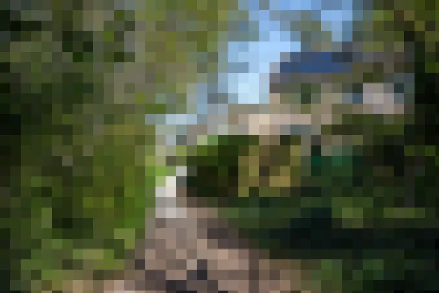 Douwe Totlaan 37 West-Terschelling thumbnail 44