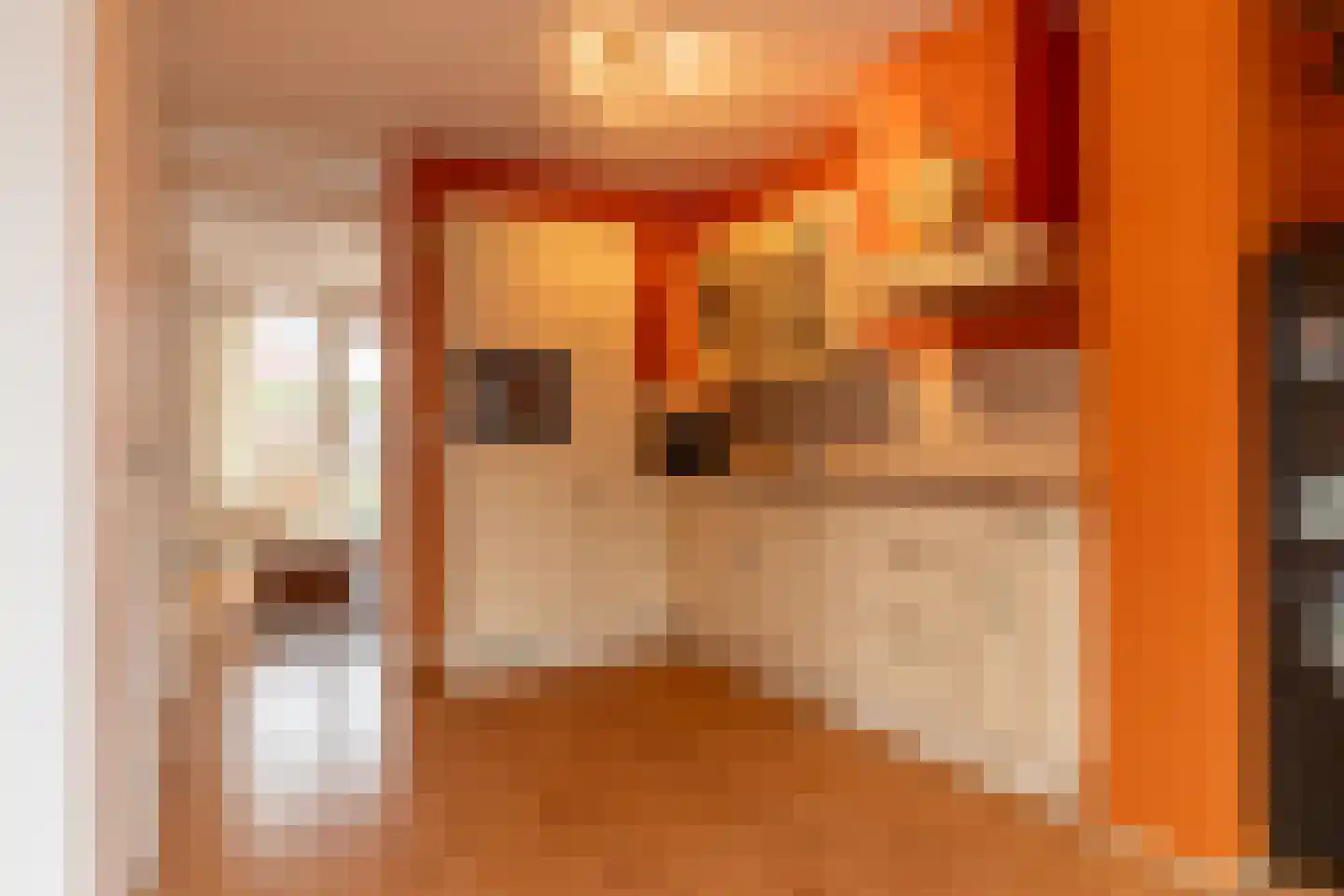 Douwe van Epemastraat 7 Koudum thumbnail 13