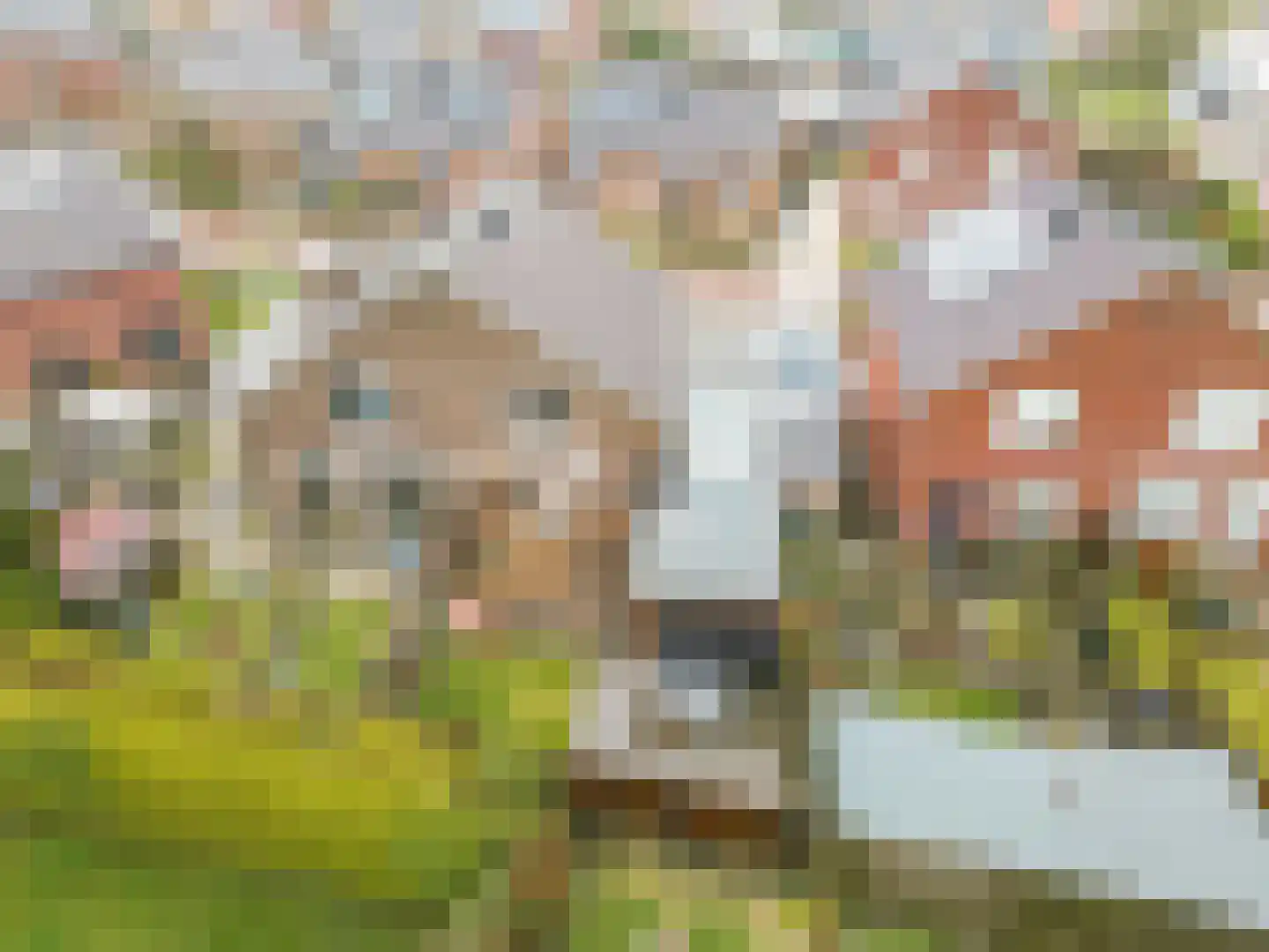 Douwe van Epemastraat 7 Koudum thumbnail 30