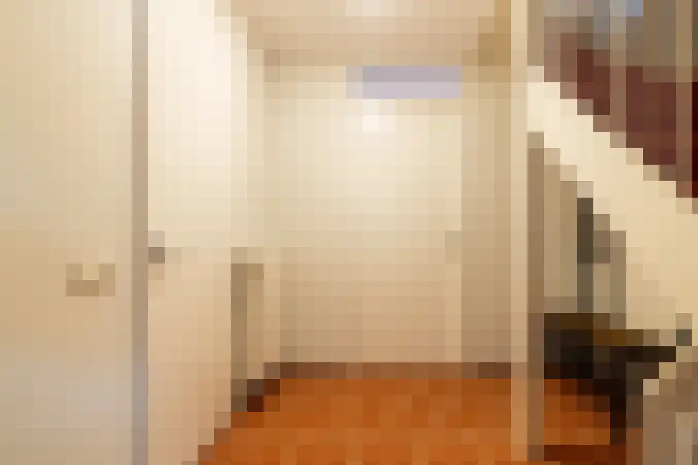 Douwe van Epemastraat 7 Koudum thumbnail 6
