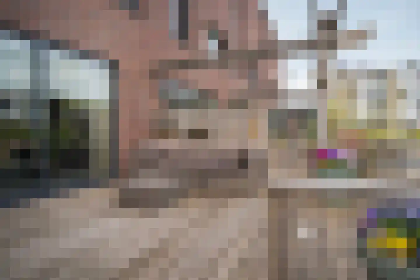 Douwe Witteveenstraat 9 Leeuwarden thumbnail 37