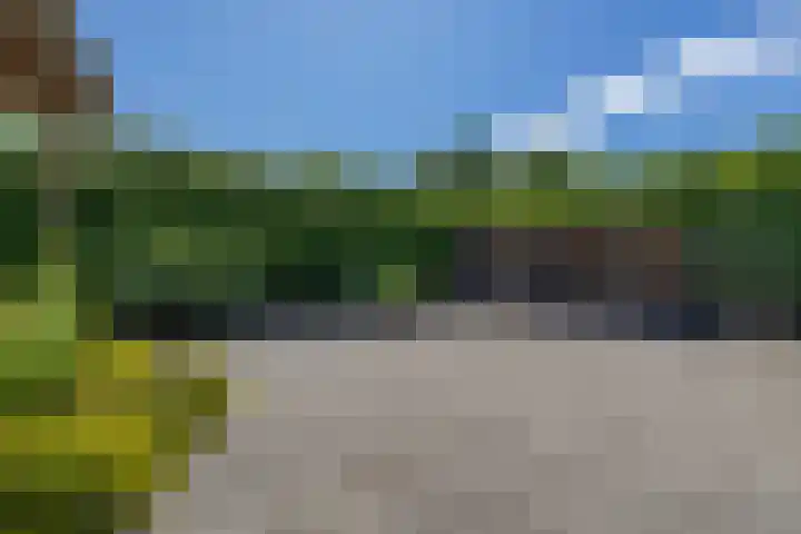 Douwelaan 74 Oentsjerk thumbnail 14