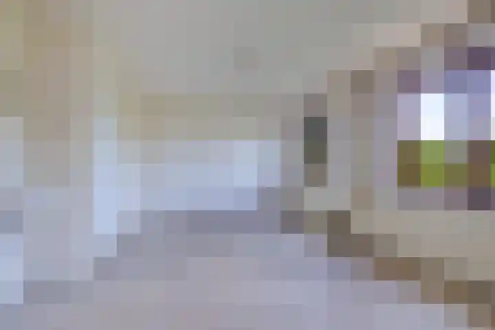 Douwelaan 74 Oentsjerk thumbnail 19