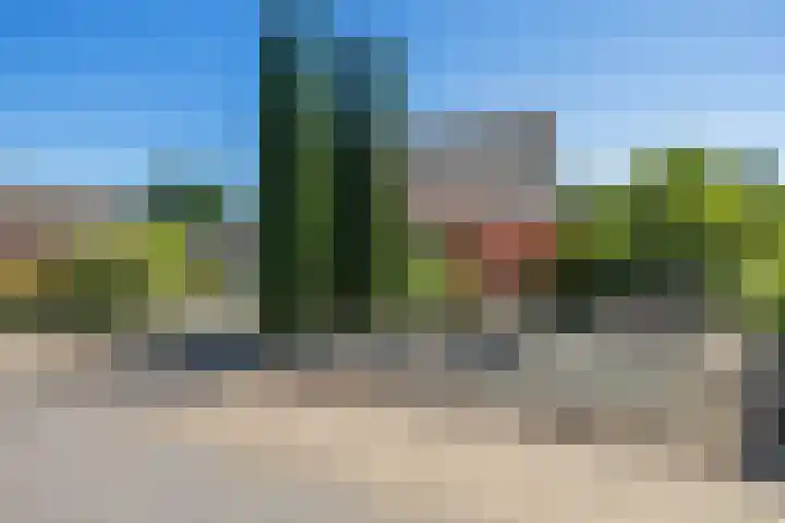Douwelaan 74 Oentsjerk foto 2