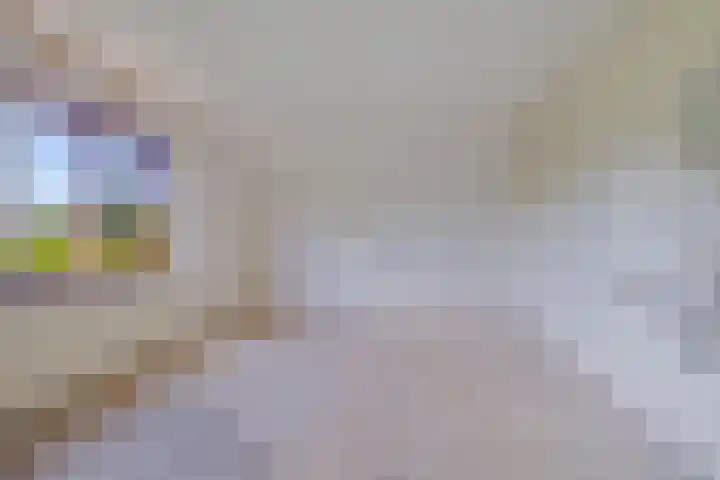 Douwelaan 74 Oentsjerk thumbnail 20