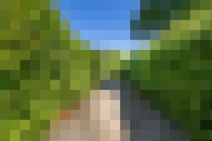 Douwelaan 74 Oentsjerk thumbnail 32