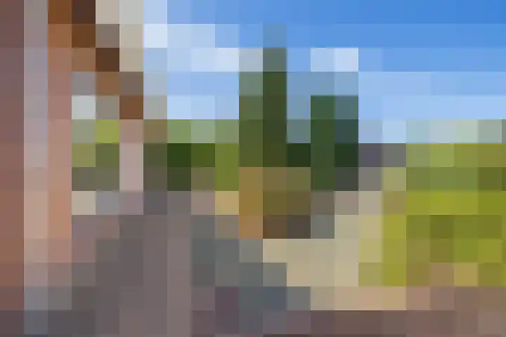 Douwelaan 74 Oentsjerk thumbnail 5