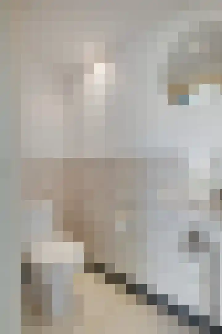 Douwelaan 74 Oentsjerk thumbnail 7
