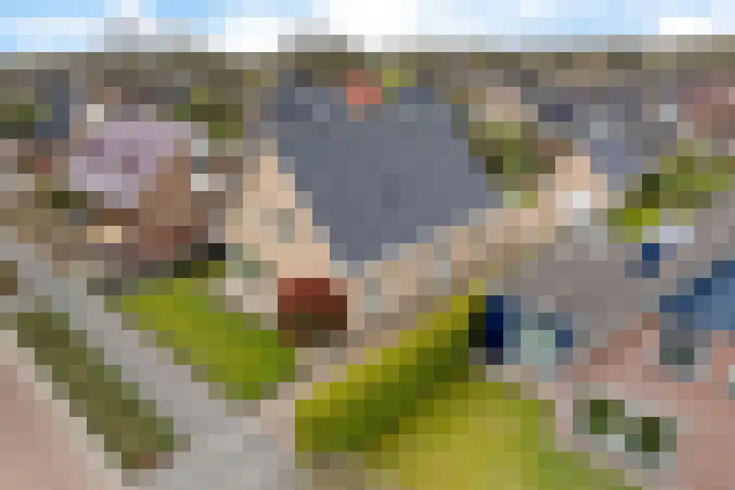 Douwelân 20 Bakkeveen thumbnail 43