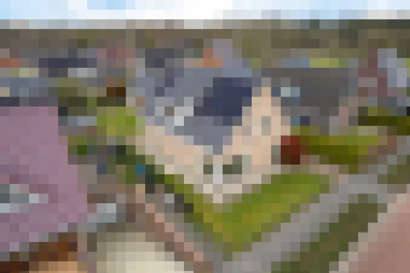Douwelân 20 Bakkeveen thumbnail 46