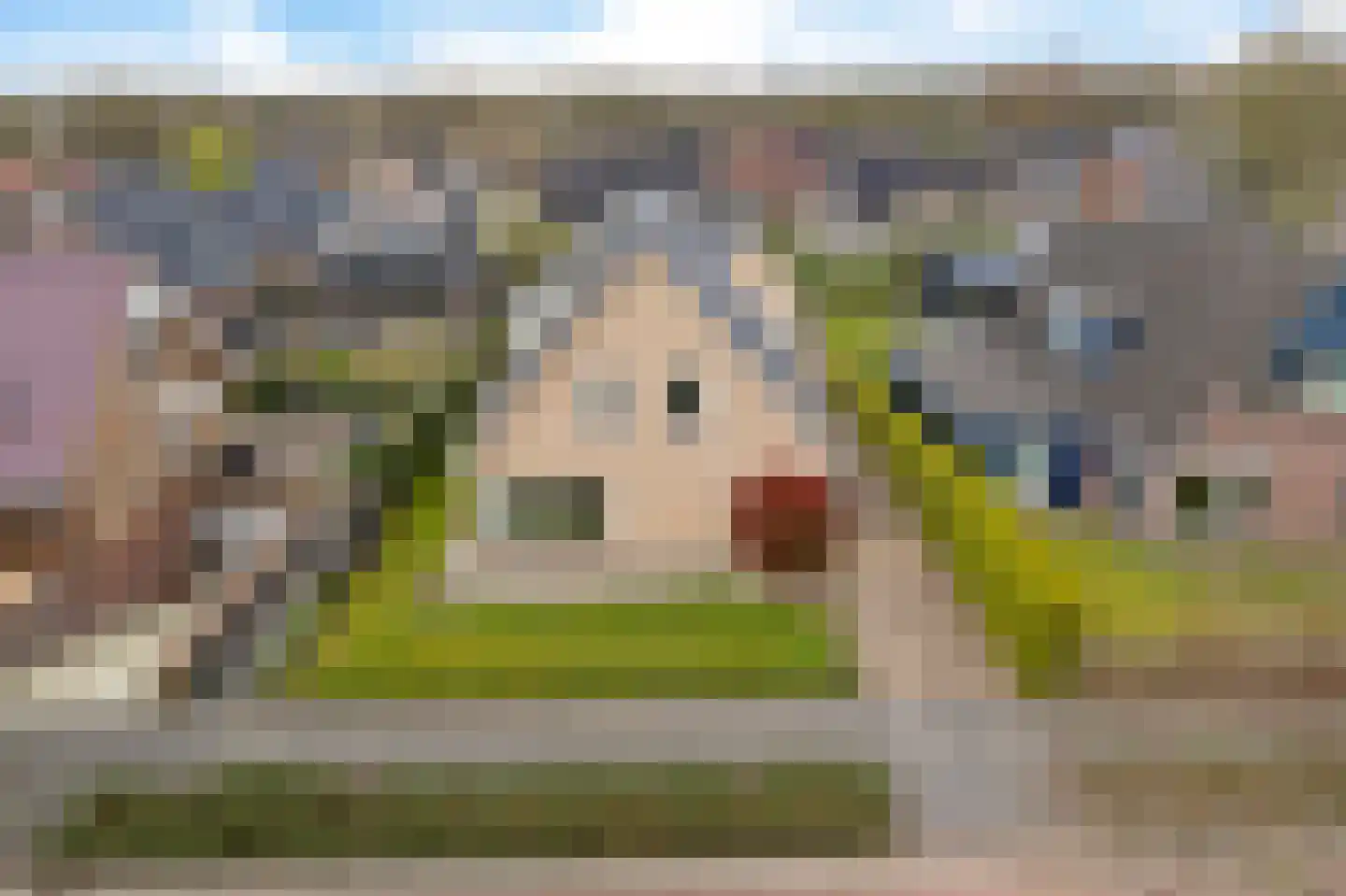 Douwelân 20 Bakkeveen thumbnail 48