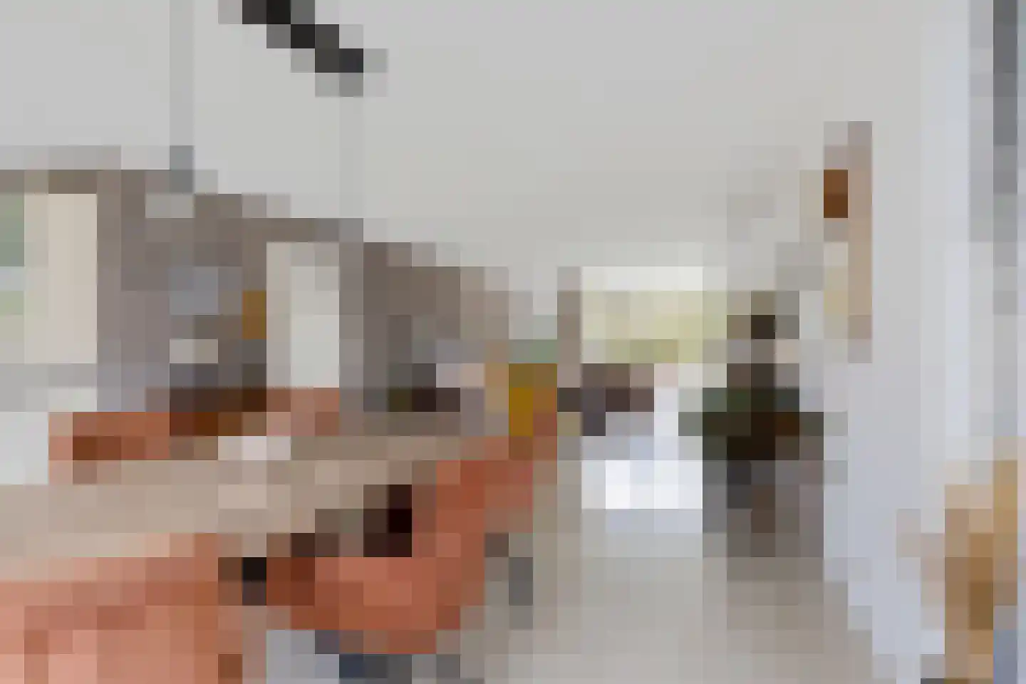 Douwelân 20 Bakkeveen thumbnail 6