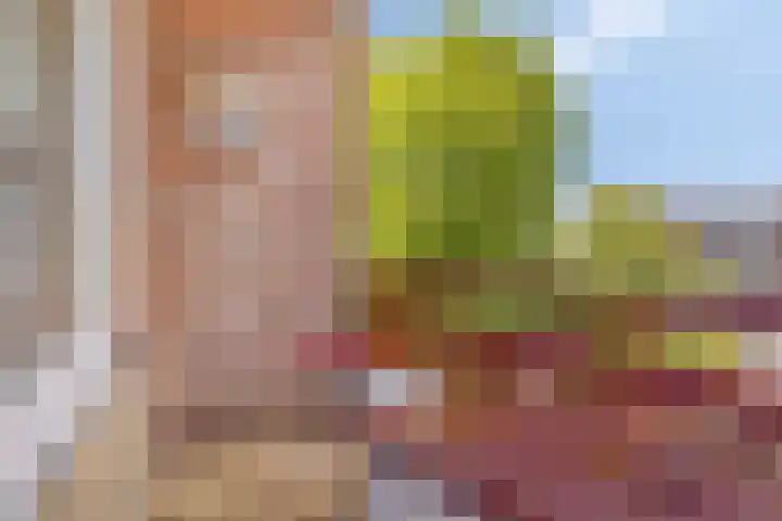 Douwelerwetering 17 Deventer thumbnail 11