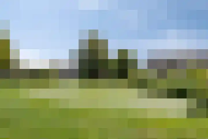 Douwelerwetering 17 Deventer thumbnail 15