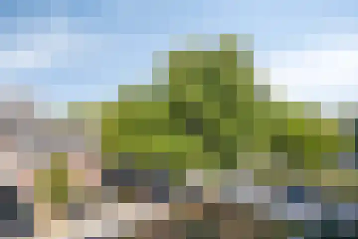 Douwelerwetering 19 Deventer thumbnail 17