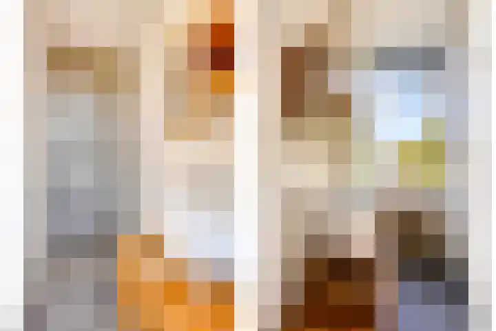 Douwelerwetering 19 Deventer thumbnail 19