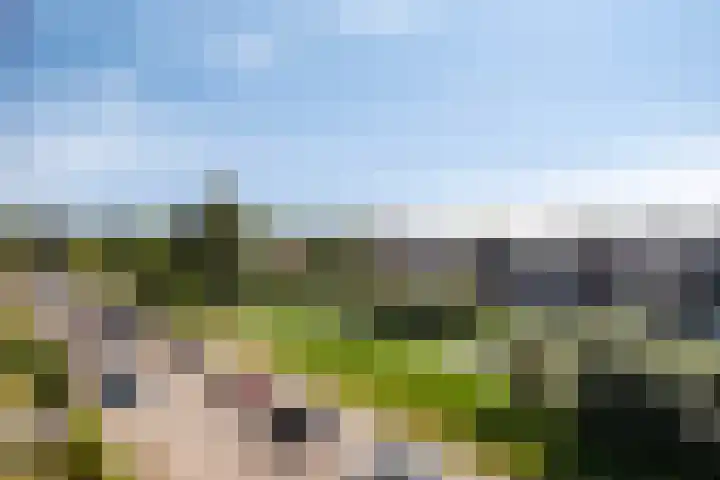 Douwelerwetering 19 Deventer thumbnail 23