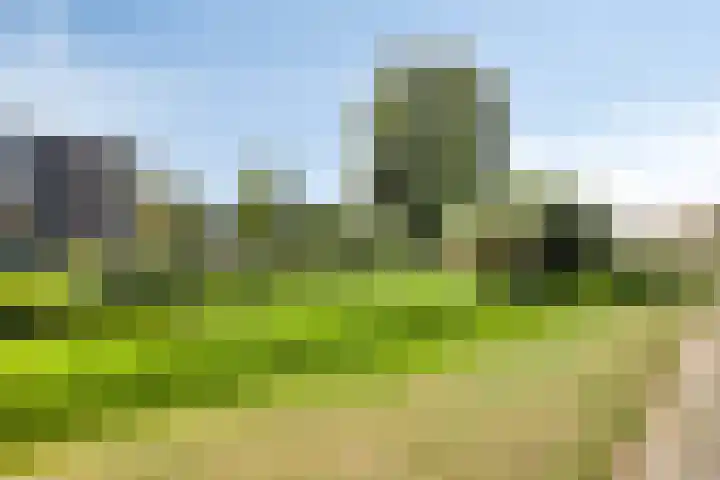 Douwelerwetering 19 Deventer thumbnail 24