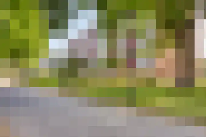 Douwelerwetering 19 Deventer thumbnail 28