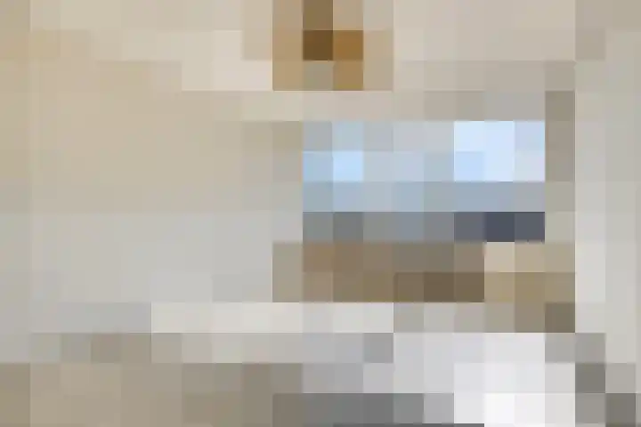 Douwelerwetering 19 Deventer thumbnail 8