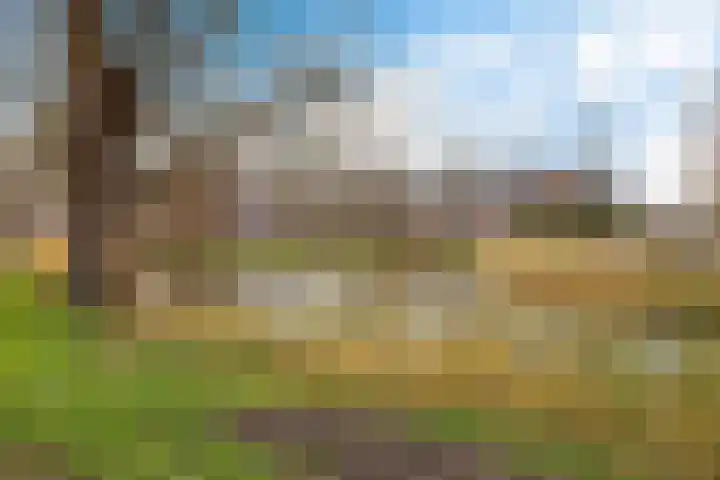 Douwelerwetering 22 Deventer thumbnail 10